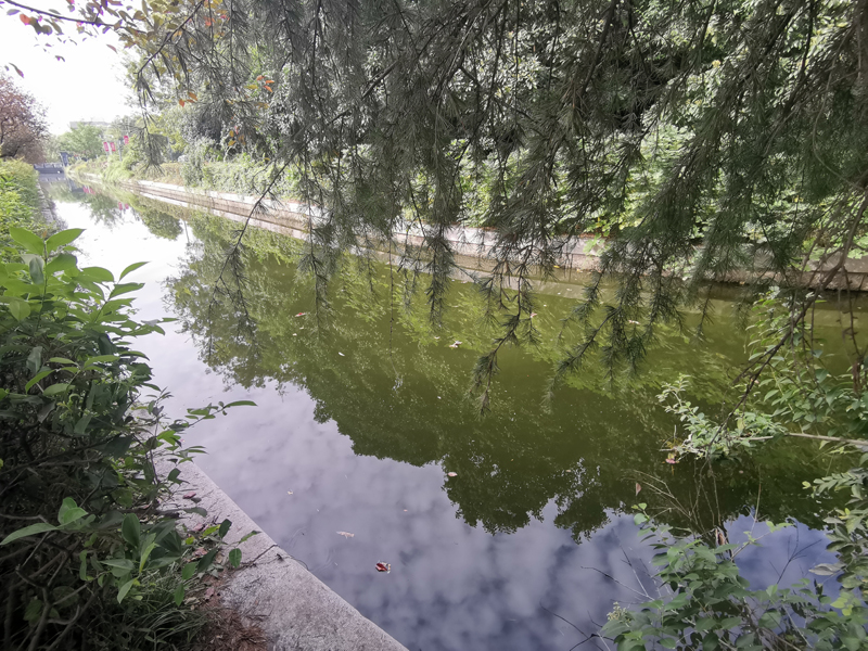 徐州市政府護城河水質維護工程
