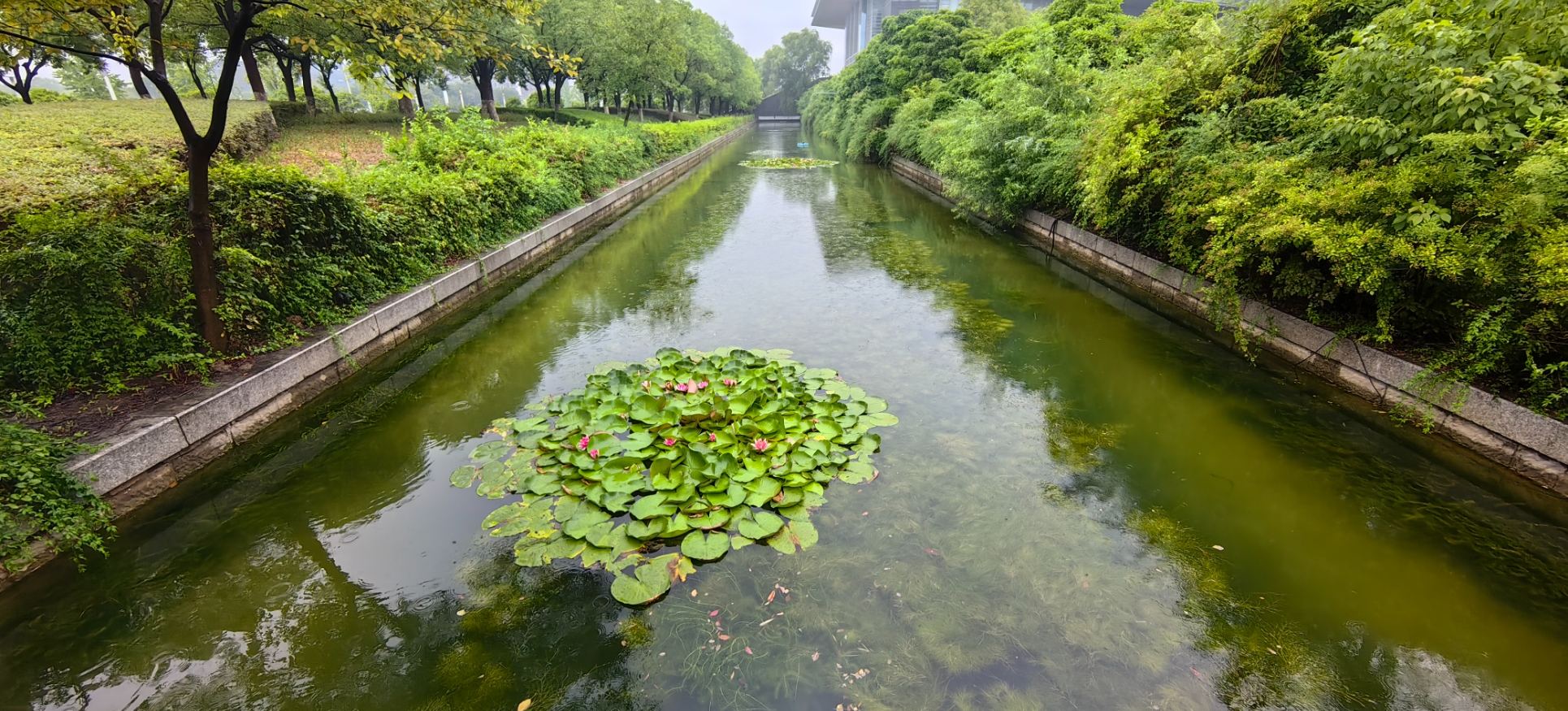 治理后照片.jpg