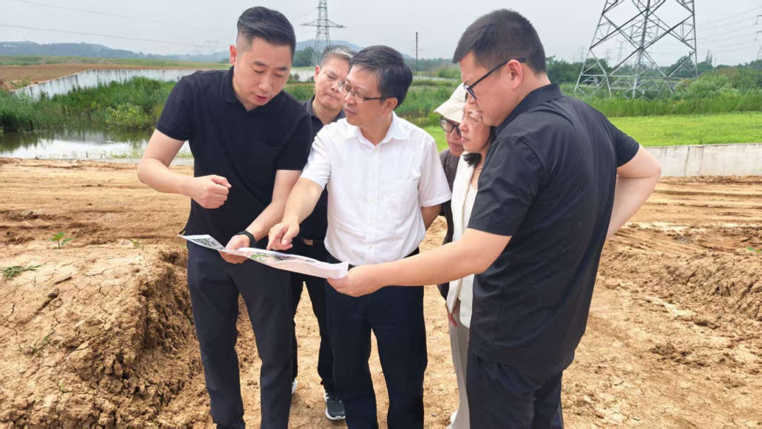 堅(jiān)持標(biāo)本兼治系統(tǒng)治理 建設(shè)綠色低碳美麗省會(huì) 省生態(tài)環(huán)境廳開(kāi)展督察整改調(diào)研