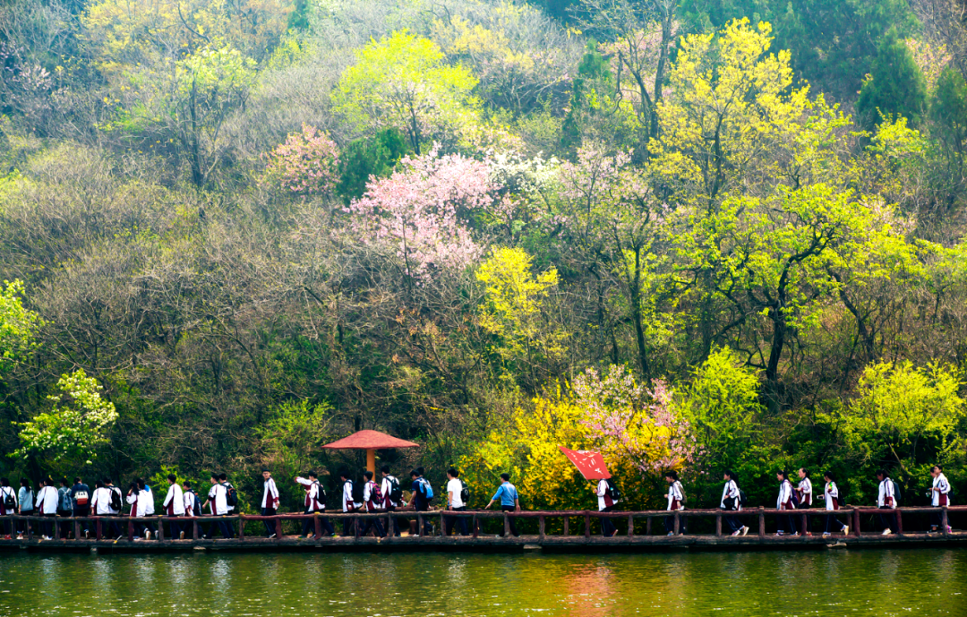 馬陵山“生態(tài)島”試驗(yàn)區(qū)，實(shí)現(xiàn)生態(tài)經(jīng)濟(jì)“雙豐收”